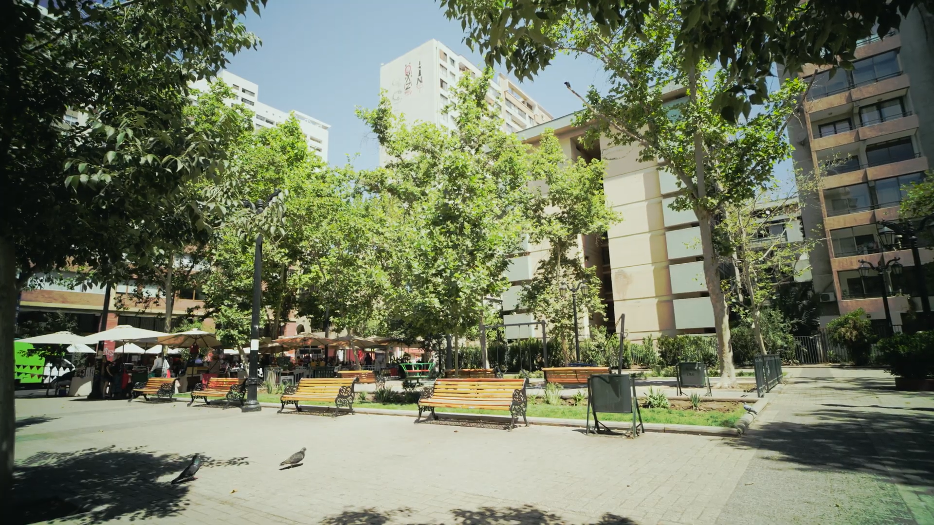 Visita «Intermodales: trabajadoras sociales por la ciudad»